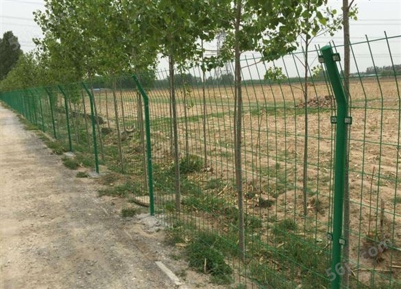 农业产业园围栏围网设计