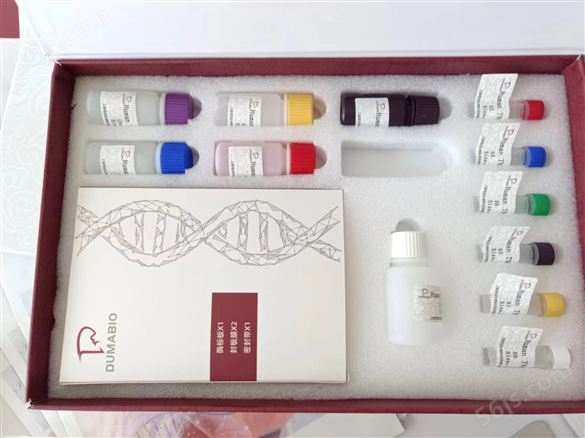胰岛素ELISA试剂盒实验步骤